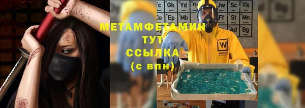 прущие грибы Аркадак