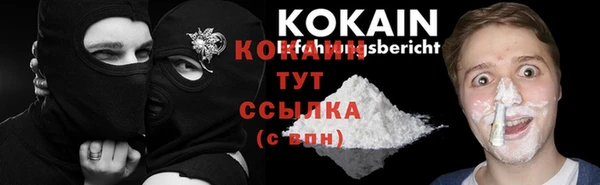 ПСИЛОЦИБИНОВЫЕ ГРИБЫ Протвино