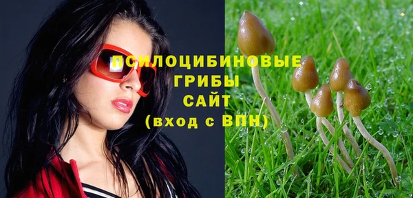 спайс Армянск