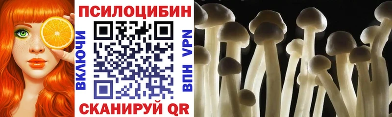 Псилоцибиновые грибы прущие грибы  Олёкминск 