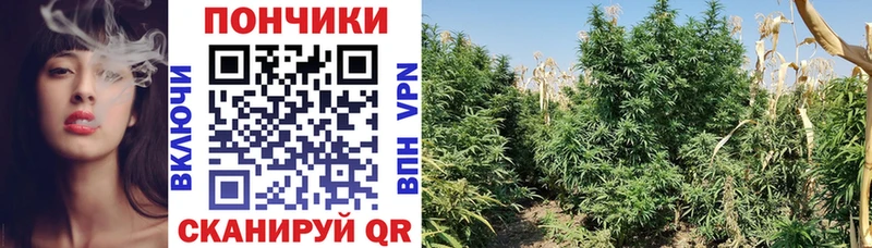 OMG ССЫЛКА Олёкминск Шишки марихуана OG Kush